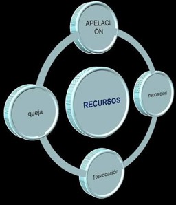 Legal Architecture